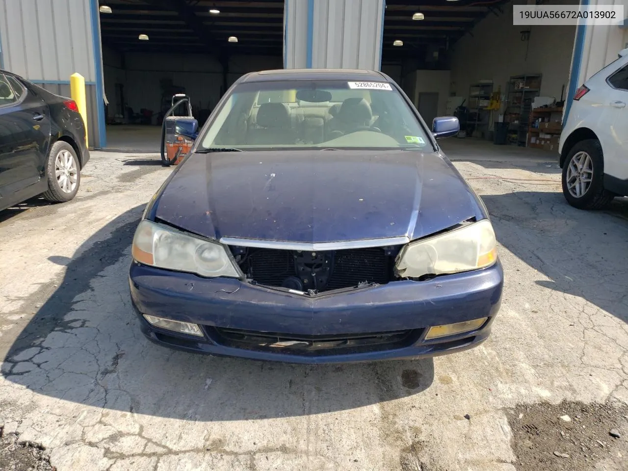 2002 Acura 3.2Tl VIN: 19UUA56672A013902 Lot: 52865204