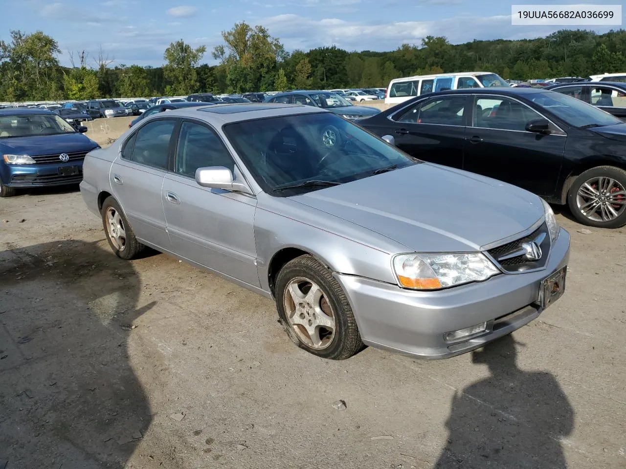 2002 Acura 3.2Tl VIN: 19UUA56682A036699 Lot: 70197634