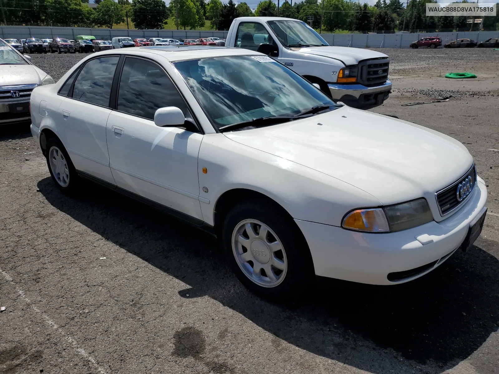 1997 Audi A4 1.8T Quattro VIN: WAUCB88D8VA175818 Lot: 57898954