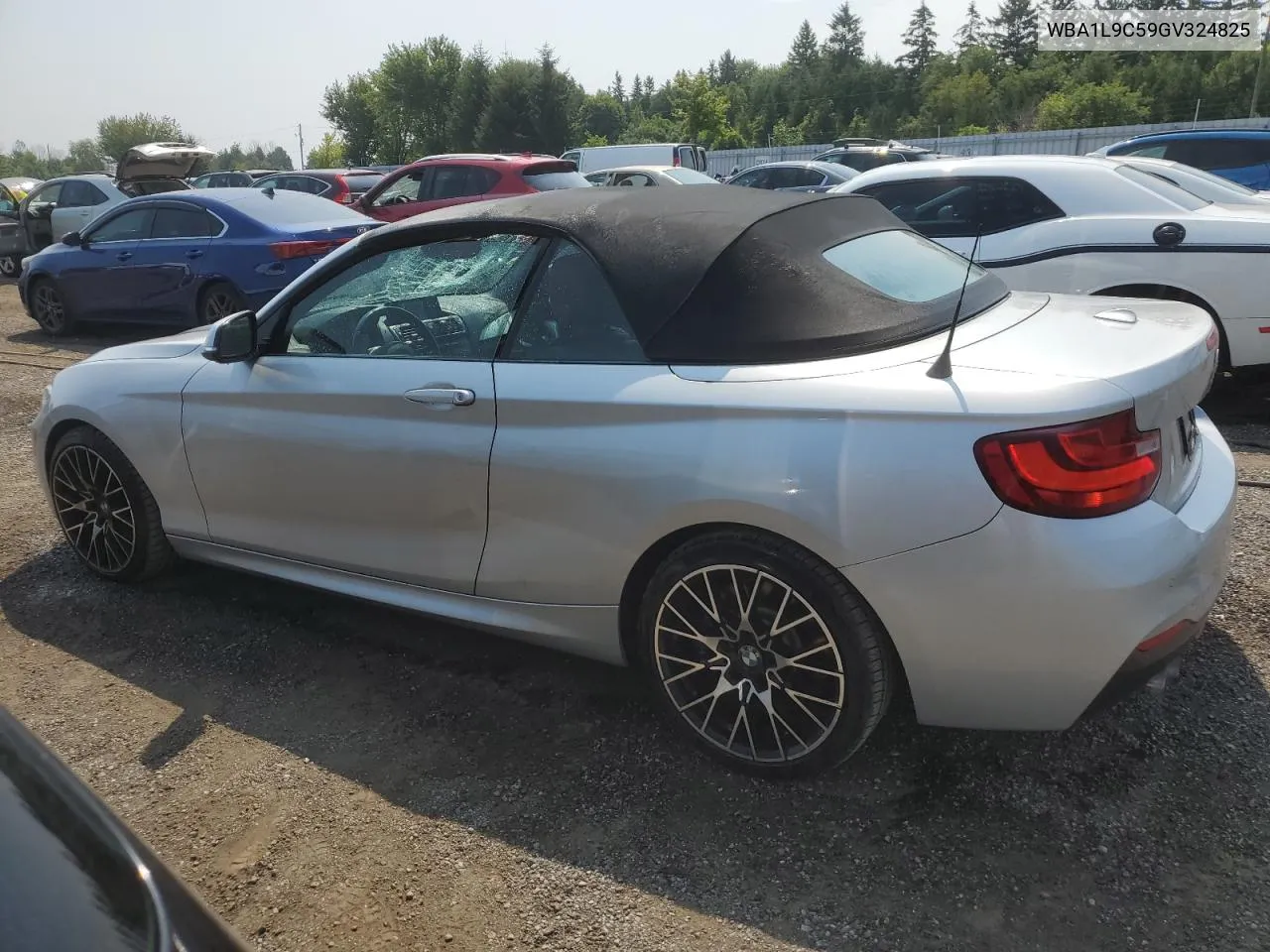 2016 BMW 228 Xi Sulev VIN: WBA1L9C59GV324825 Lot: 65209694