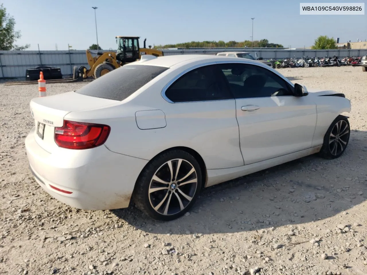 2016 BMW 228 Xi Sulev VIN: WBA1G9C54GV598826 Lot: 71215724