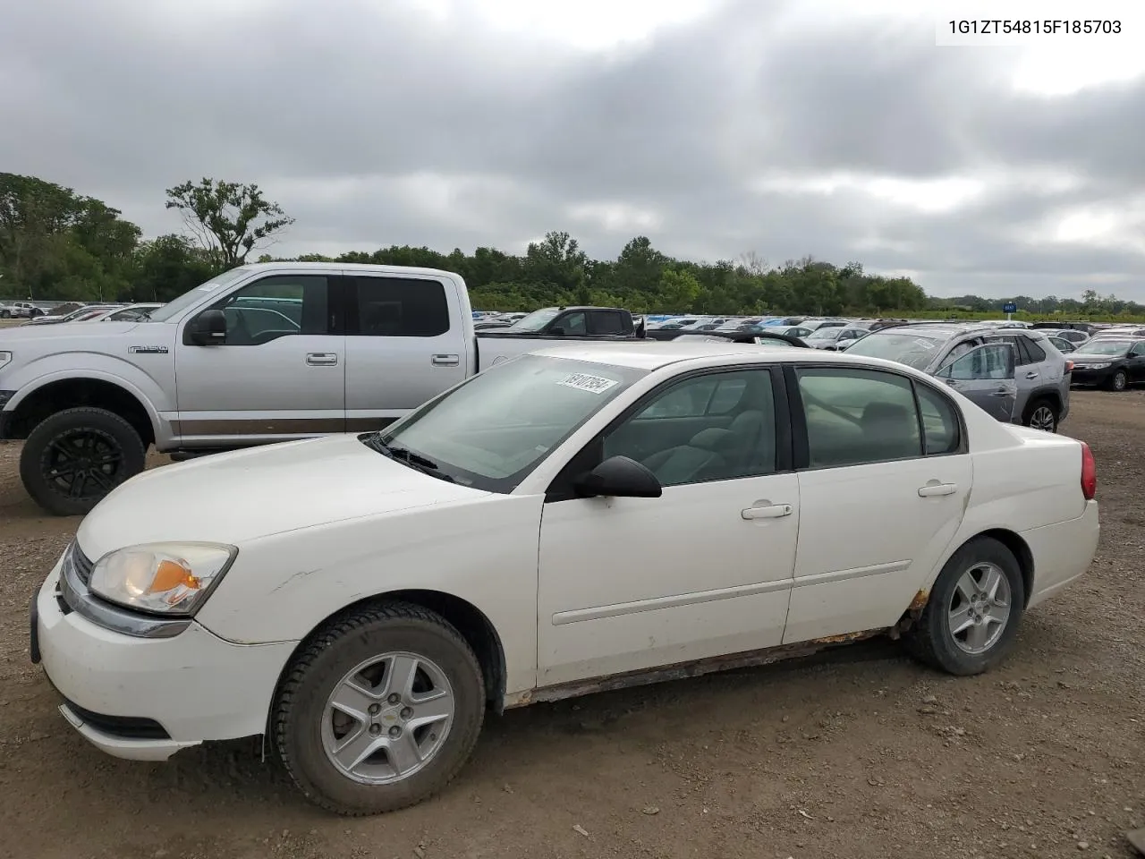 2005 Chevrolet Malibu Ls VIN: 1G1ZT54815F185703 Lot: 69107954