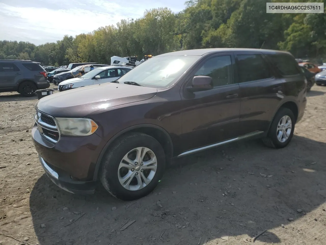 2012 Dodge Durango Sxt VIN: 1C4RDHAG6CC257611 Lot: 71780544