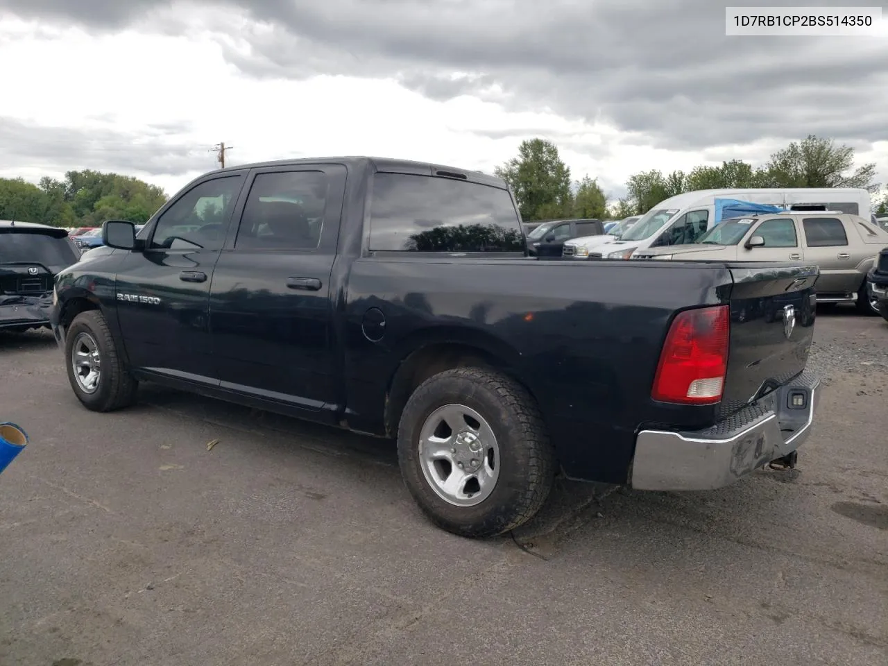 2011 Dodge Ram 1500 VIN: 1D7RB1CP2BS514350 Lot: 71573954