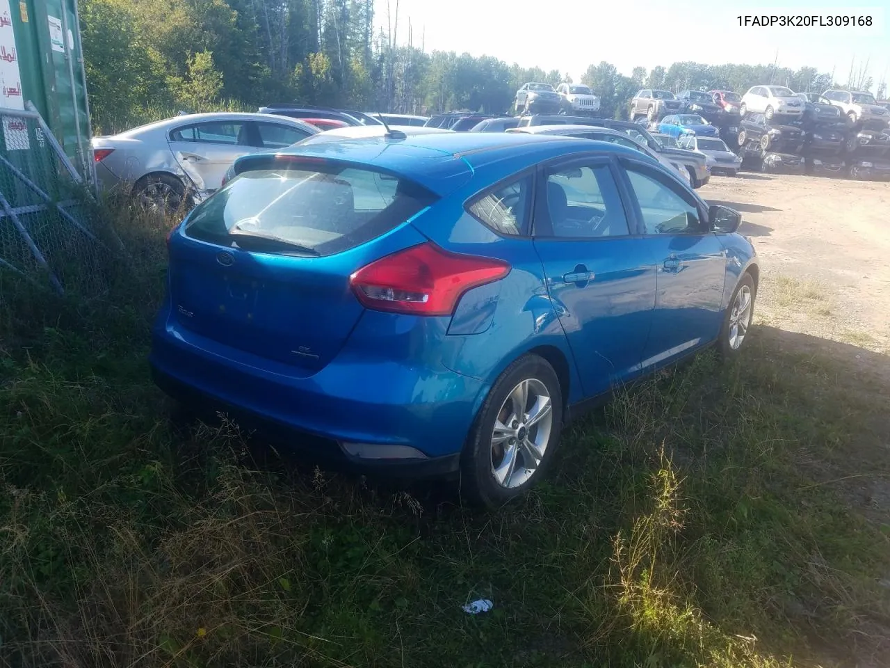 2015 Ford Focus Se VIN: 1FADP3K20FL309168 Lot: 67632744