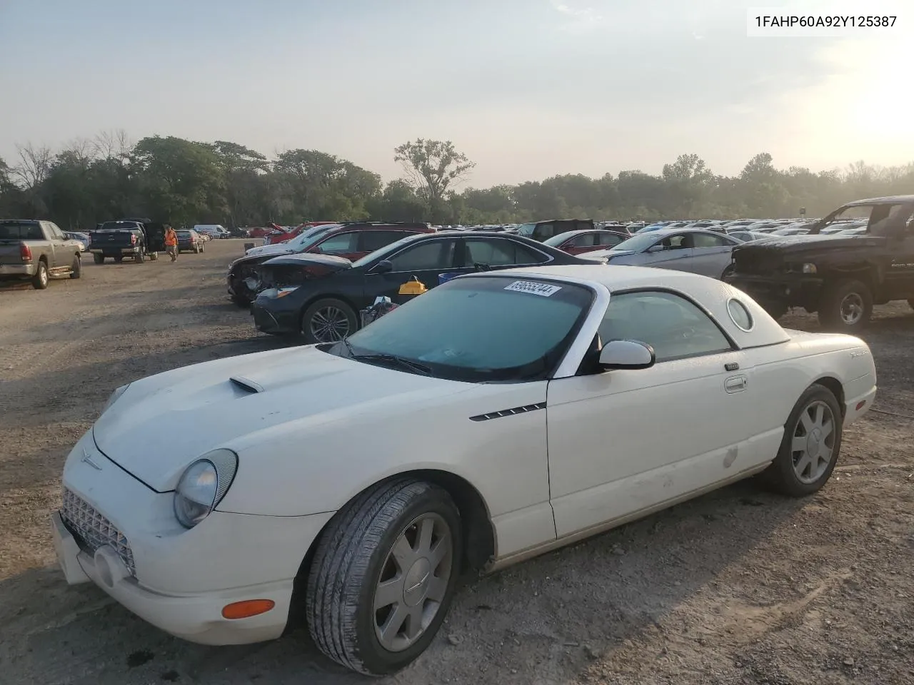 2002 Ford Thunderbird VIN: 1FAHP60A92Y125387 Lot: 69655244