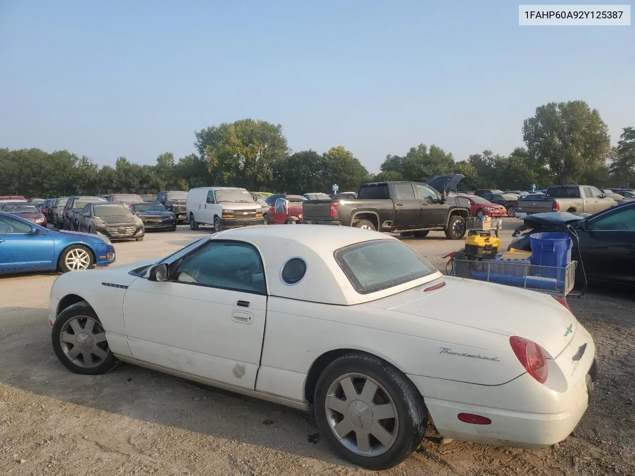 2002 Ford Thunderbird VIN: 1FAHP60A92Y125387 Lot: 69655244