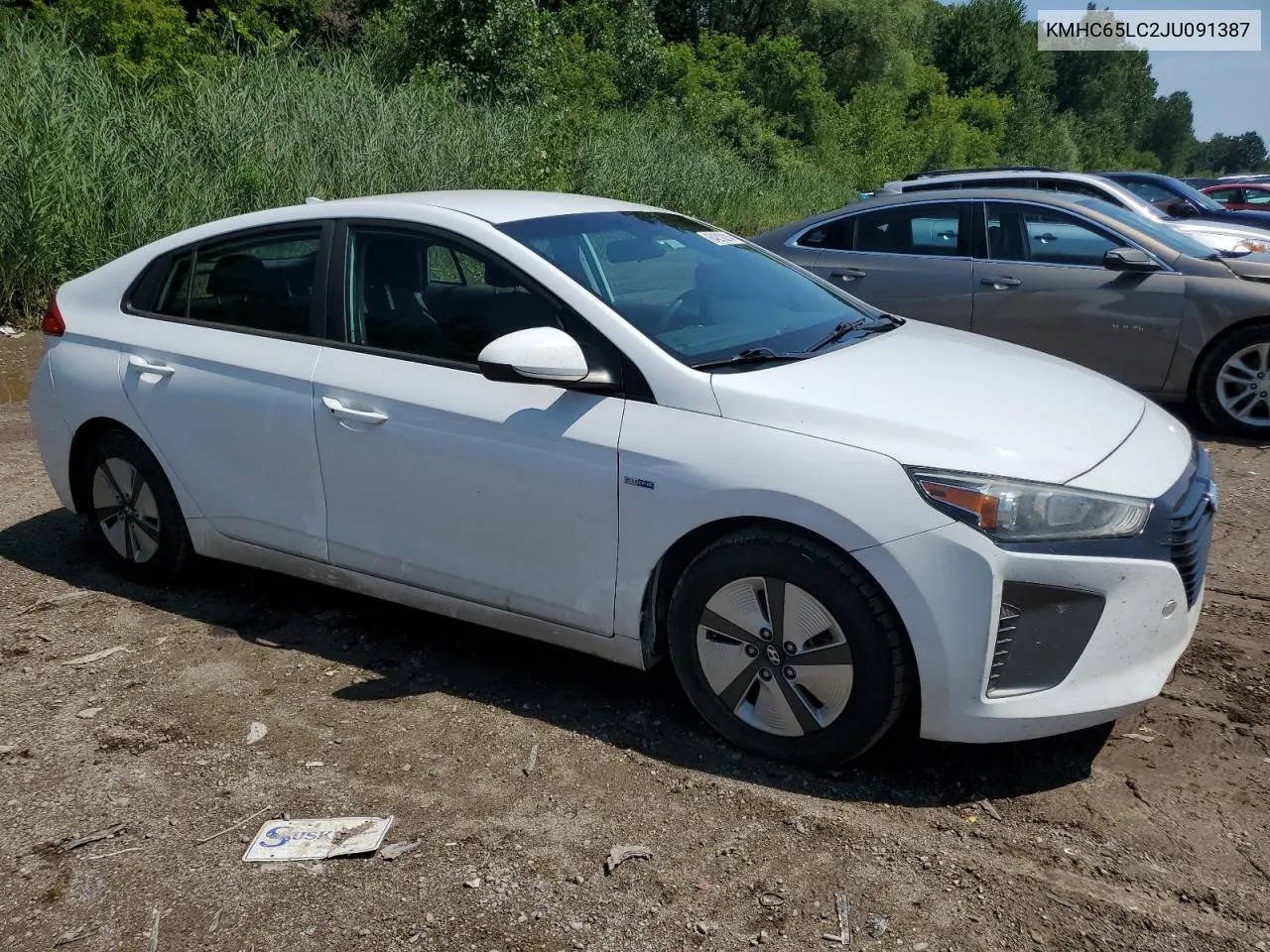 2018 Hyundai Ioniq Blue VIN: KMHC65LC2JU091387 Lot: 64212214