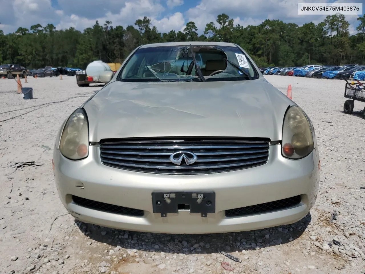 2005 Infiniti G35 VIN: JNKCV54E75M403876 Lot: 71265804