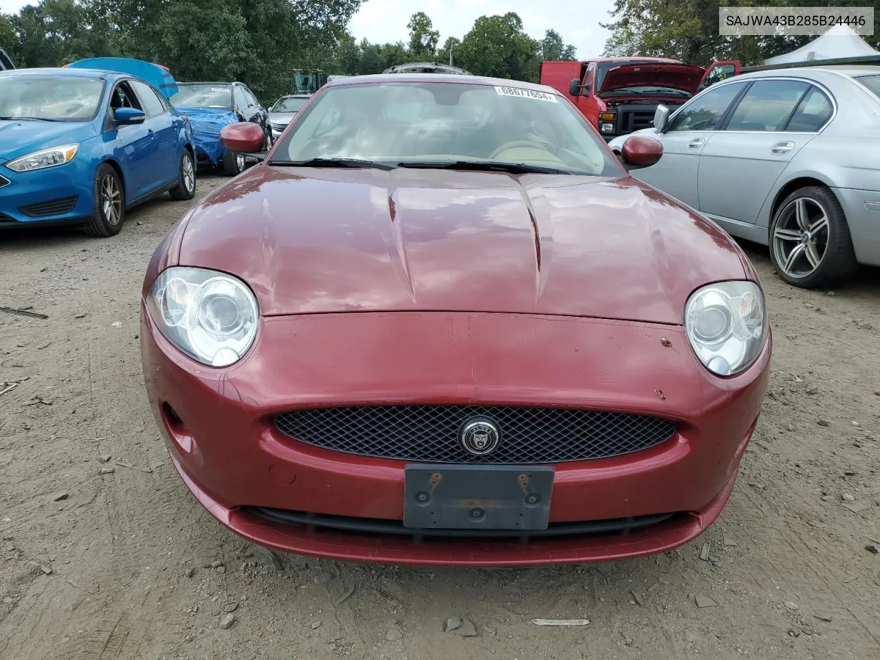 2008 Jaguar Xk VIN: SAJWA43B285B24446 Lot: 70429864