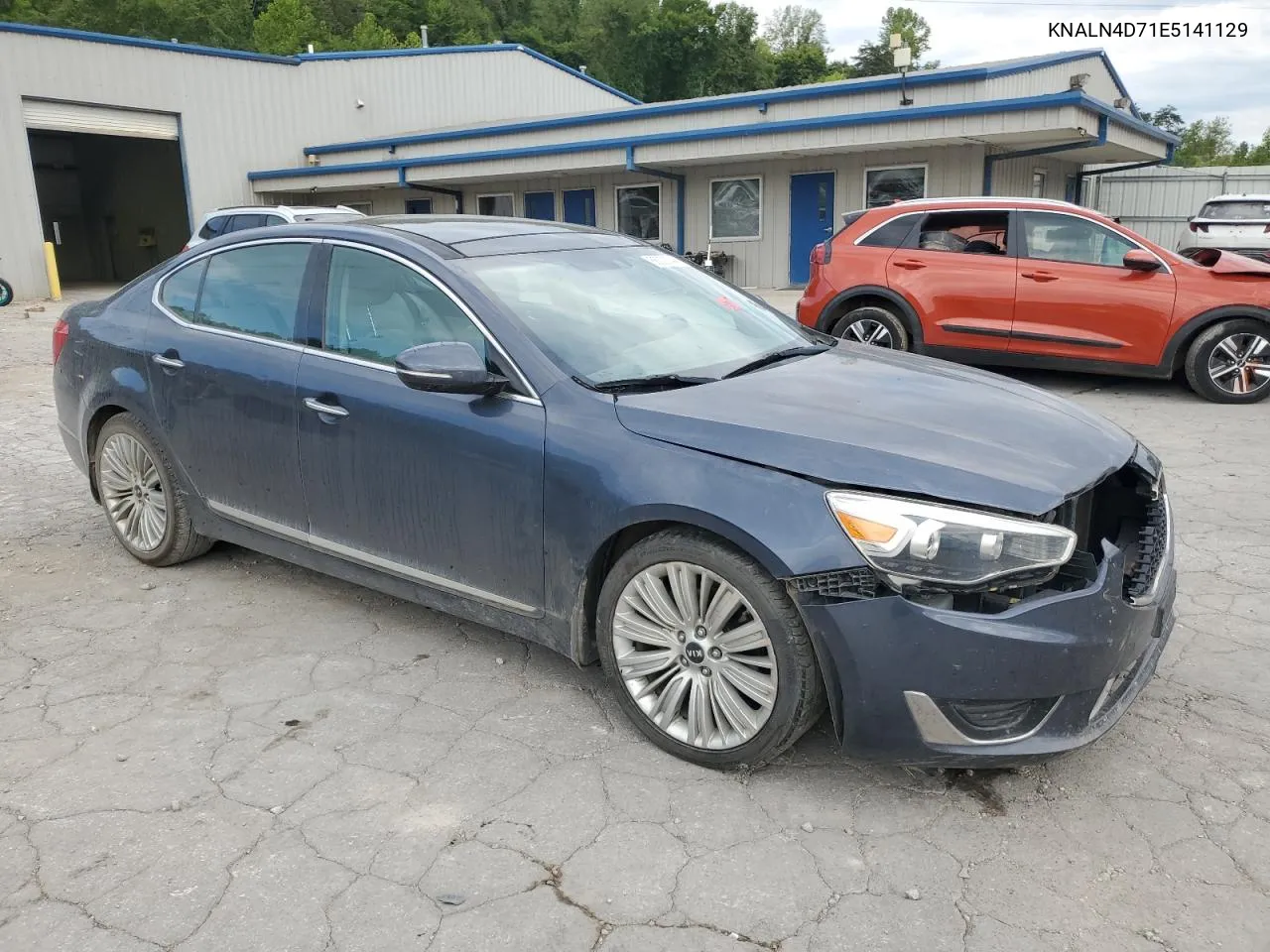 2014 Kia Cadenza Premium VIN: KNALN4D71E5141129 Lot: 66020844