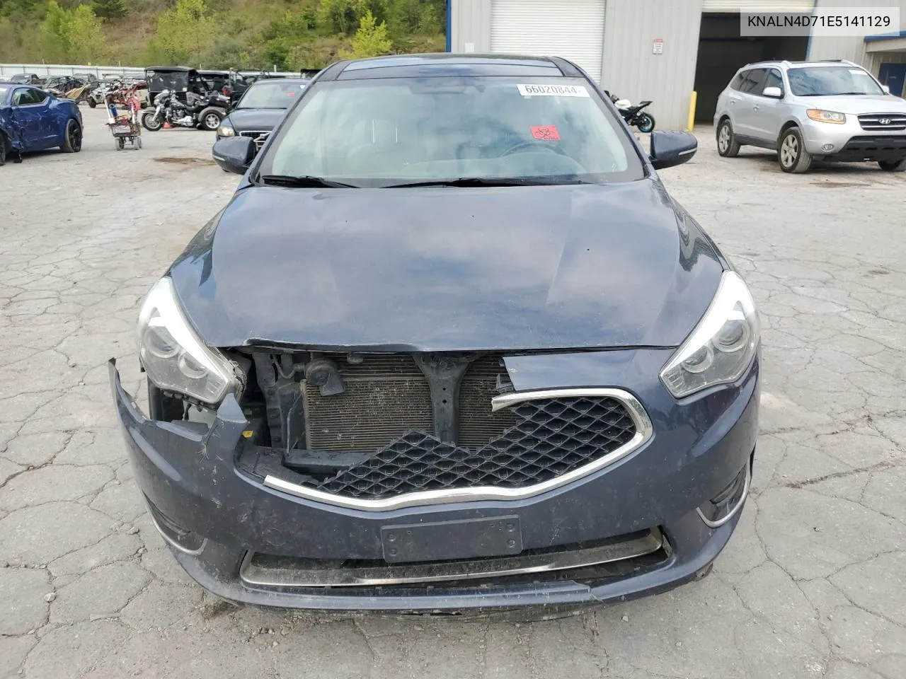 KNALN4D71E5141129 2014 Kia Cadenza Premium