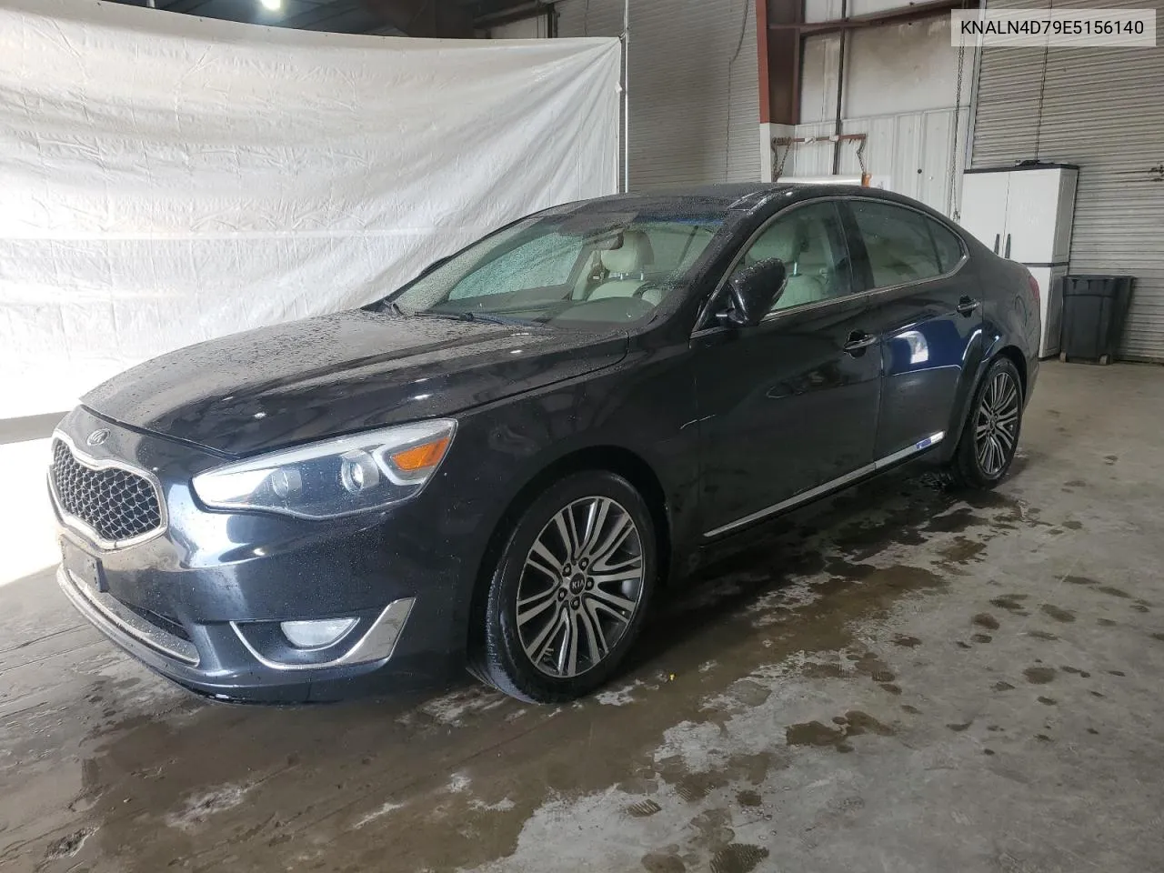 KNALN4D79E5156140 2014 Kia Cadenza Premium