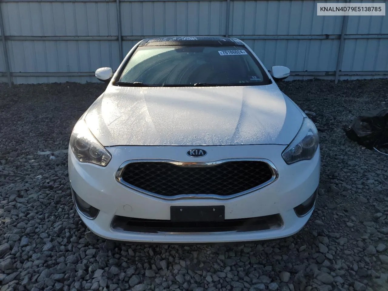 2014 Kia Cadenza Premium VIN: KNALN4D79E5138785 Lot: 70186024