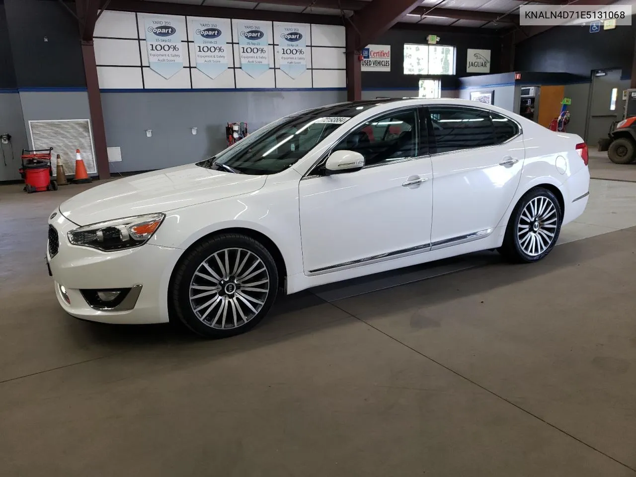 2014 Kia Cadenza Premium VIN: KNALN4D71E5131068 Lot: 72193884