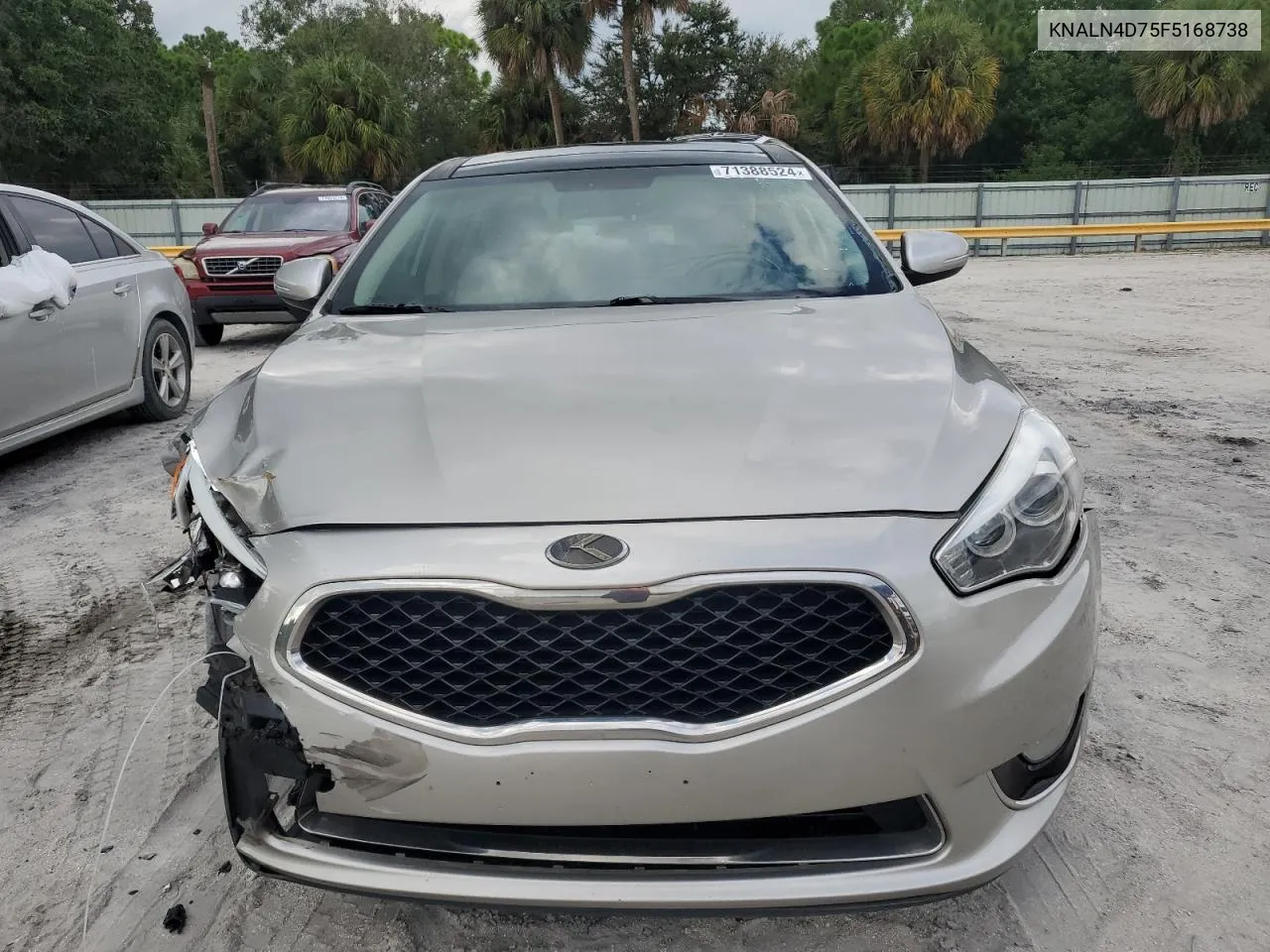 2015 Kia Cadenza Premium VIN: KNALN4D75F5168738 Lot: 71388524