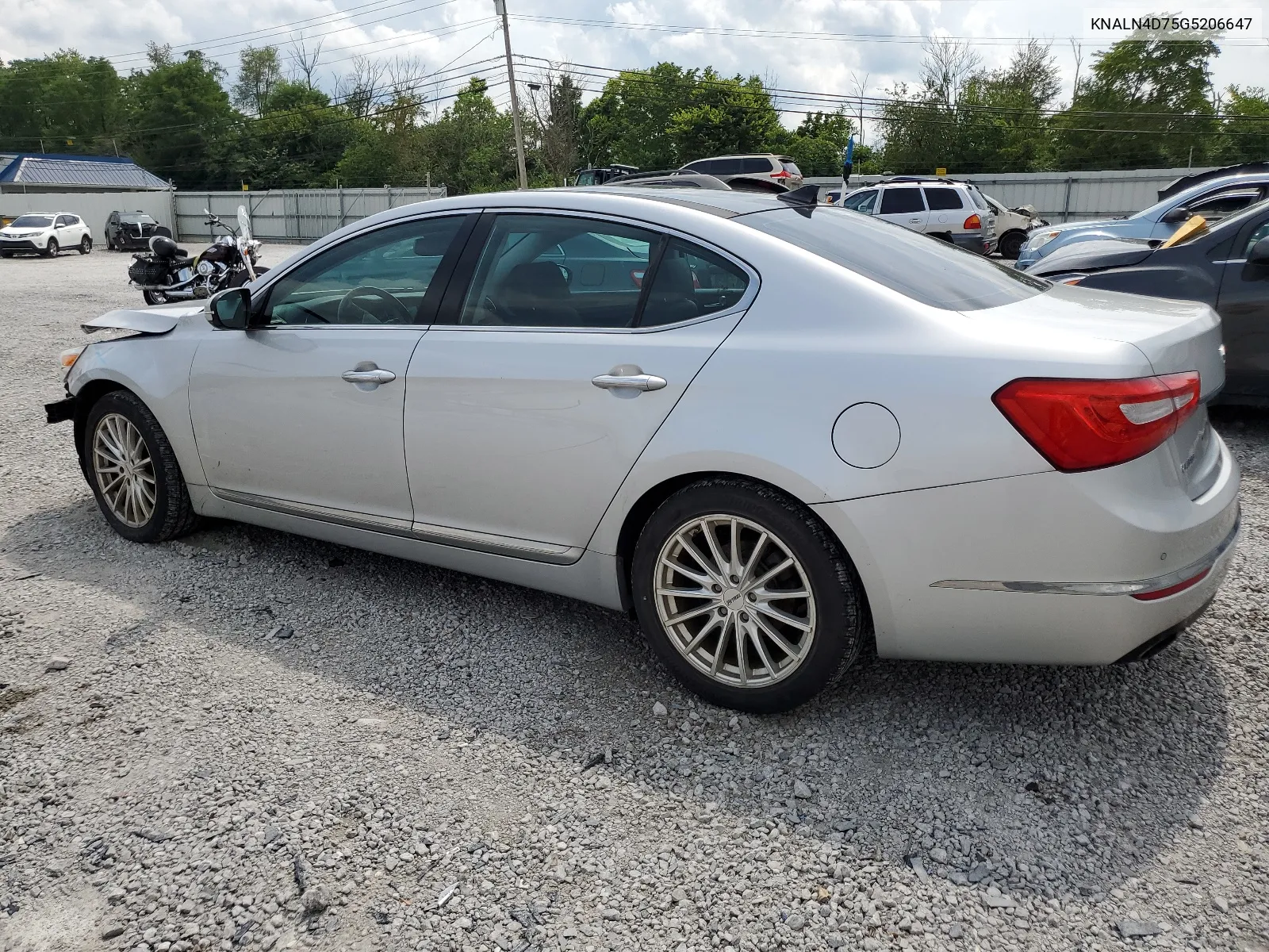 2016 Kia Cadenza Luxury VIN: KNALN4D75G5206647 Lot: 63208514