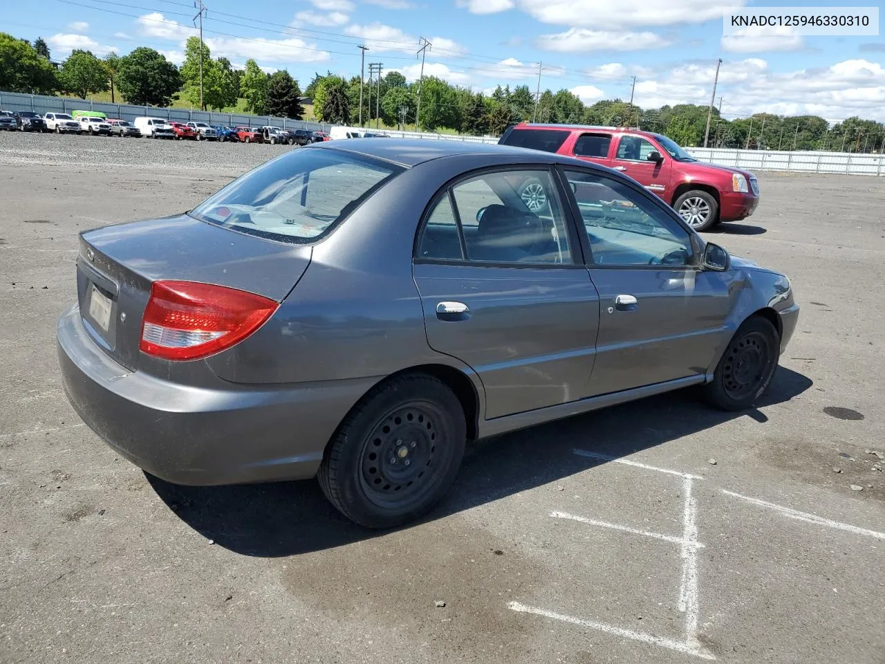 2004 Kia Rio VIN: KNADC125946330310 Lot: 69411894