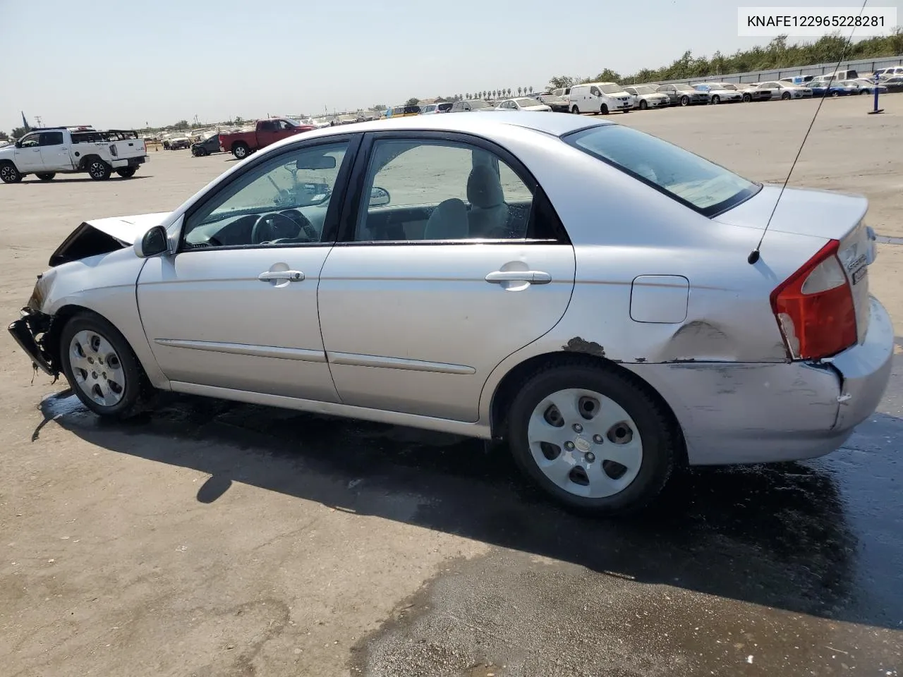 2006 Kia Spectra Lx VIN: KNAFE122965228281 Lot: 70485404