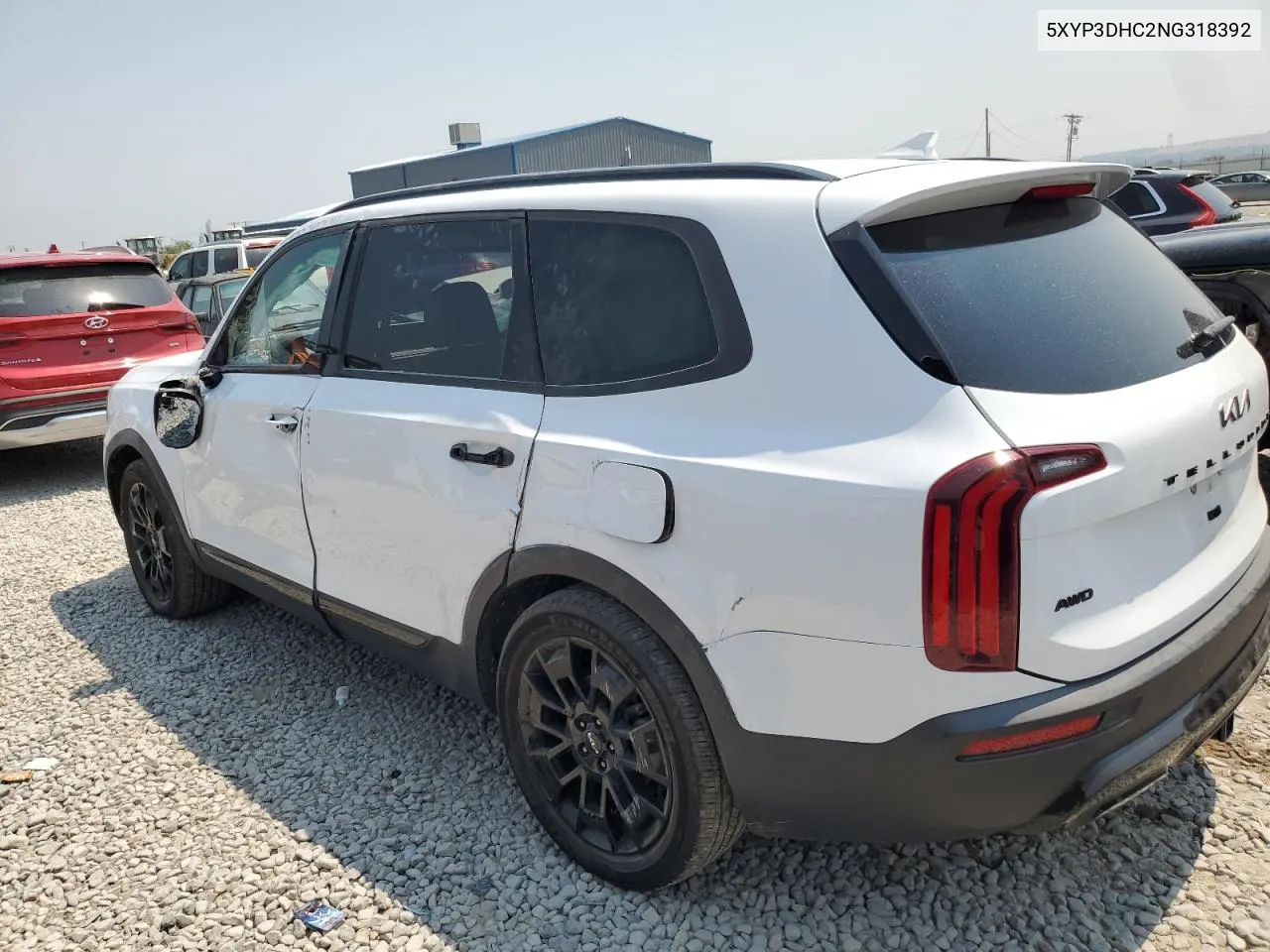 2022 Kia Telluride Ex VIN: 5XYP3DHC2NG318392 Lot: 65315534