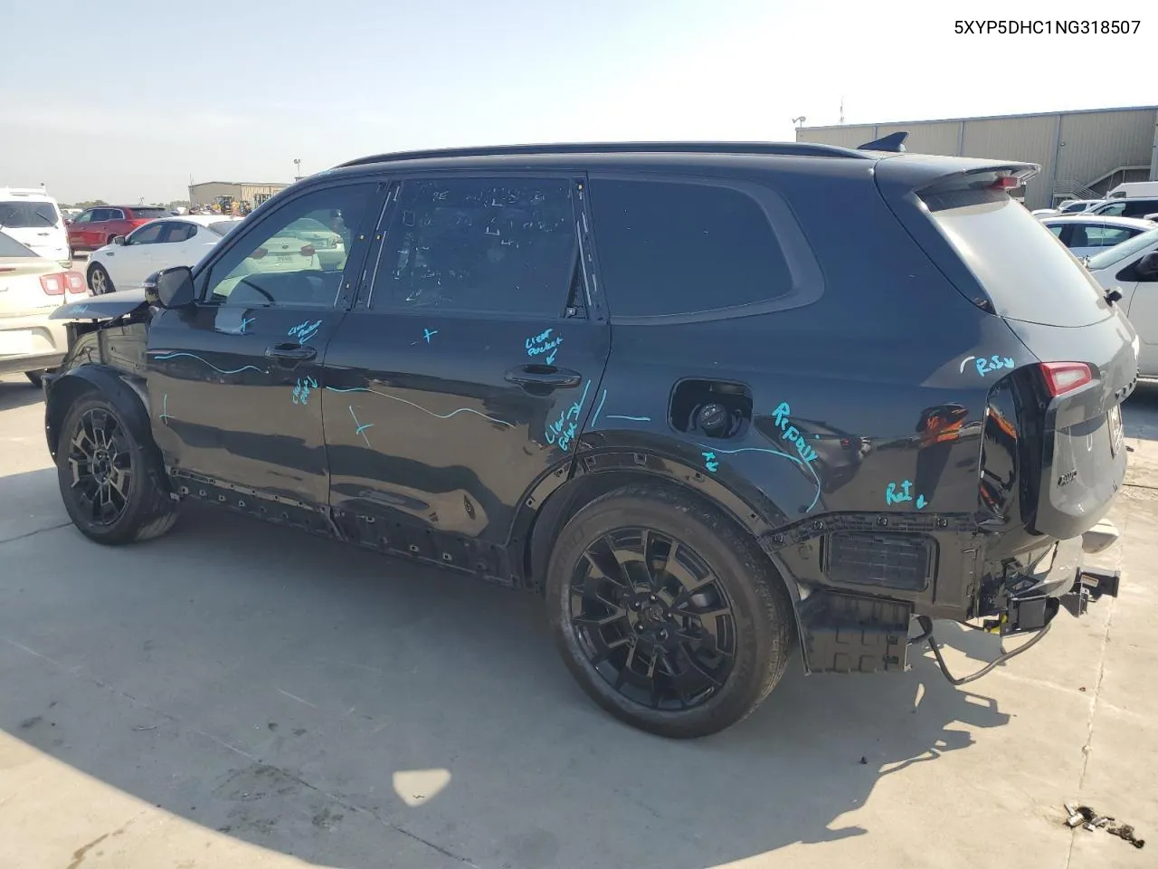 2022 Kia Telluride Sx VIN: 5XYP5DHC1NG318507 Lot: 65844924