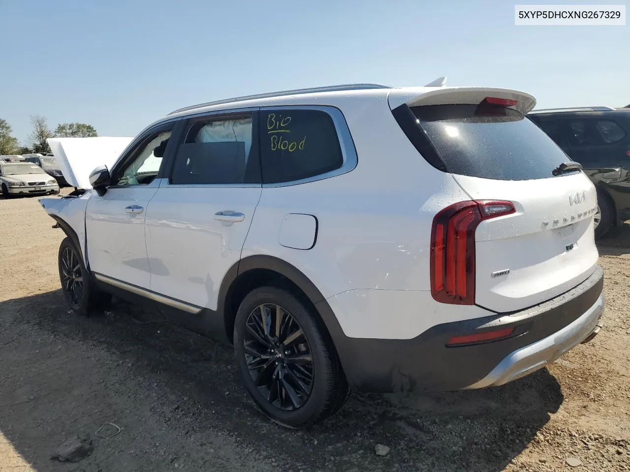 2022 Kia Telluride Sx VIN: 5XYP5DHCXNG267329 Lot: 70195974