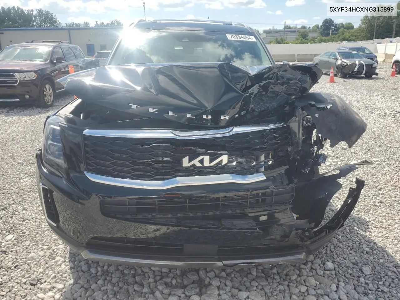 2022 Kia Telluride Ex VIN: 5XYP34HCXNG315899 Lot: 70394654