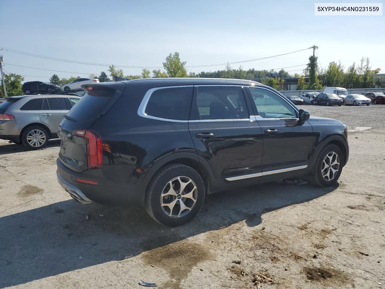 2022 Kia Telluride Ex VIN: 5XYP34HC4NG231559 Lot: 70697484