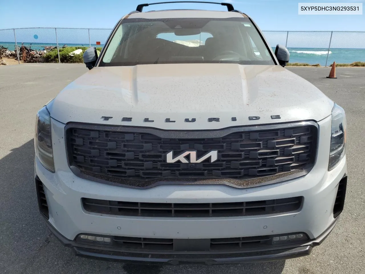 2022 Kia Telluride Sx VIN: 5XYP5DHC3NG293531 Lot: 72048954