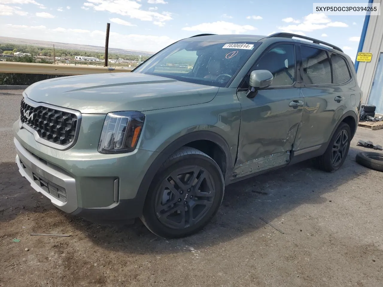 2023 Kia Telluride Sx VIN: 5XYP5DGC3PG394265 Lot: 70306914