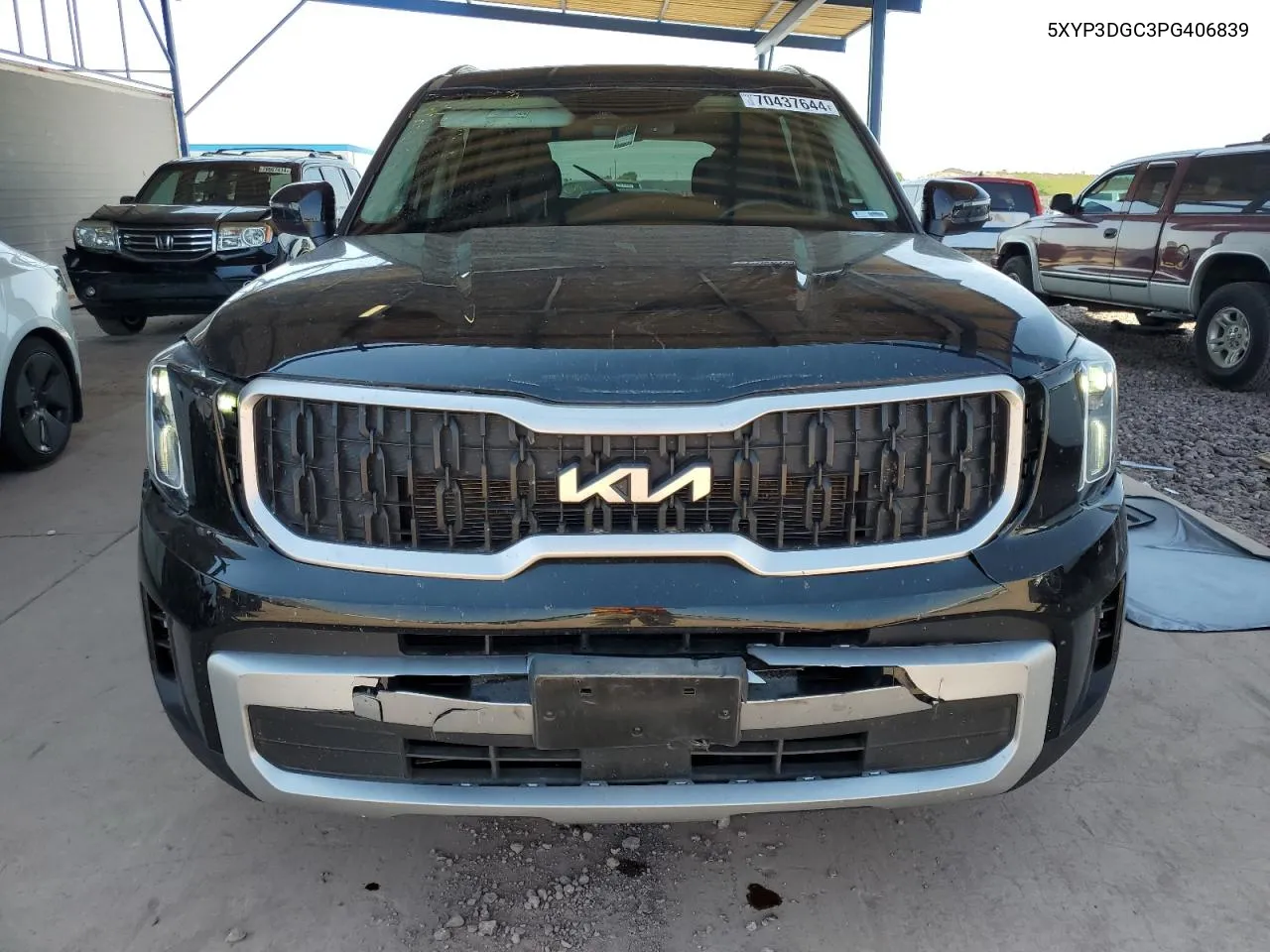 2023 Kia Telluride Ex VIN: 5XYP3DGC3PG406839 Lot: 70437644