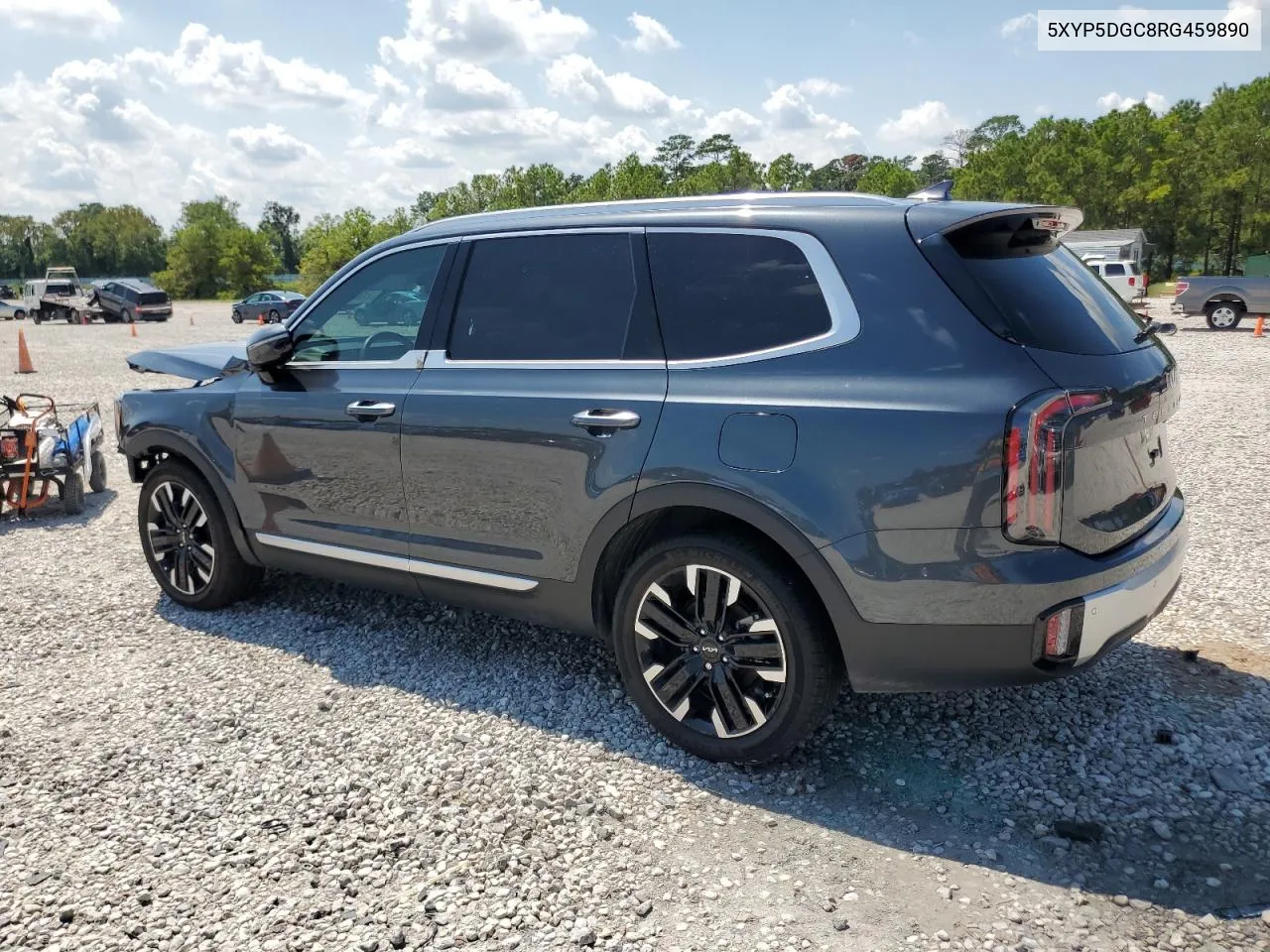 2024 Kia Telluride Sx VIN: 5XYP5DGC8RG459890 Lot: 71304884