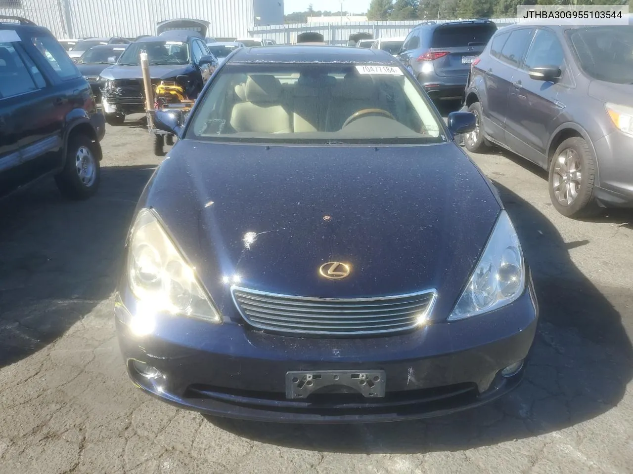 2005 Lexus Es 330 VIN: JTHBA30G955103544 Lot: 70477184