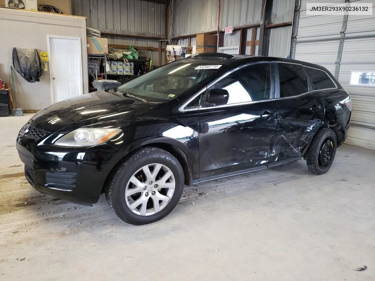 2009 Mazda Cx-7 VIN: JM3ER293X90236132 Lot: 53340774