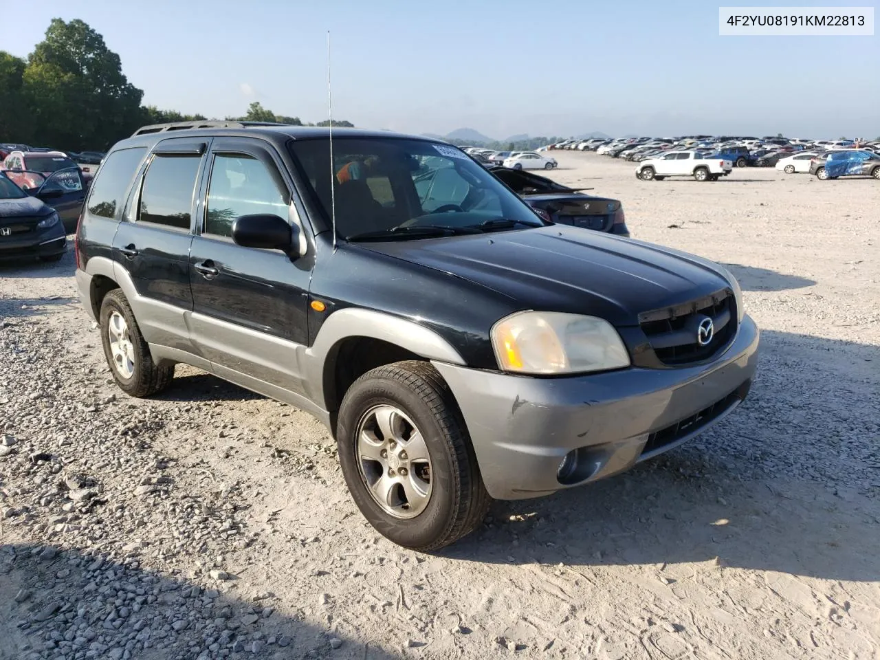 2001 Mazda Tribute Lx VIN: 4F2YU08191KM22813 Lot: 66464124