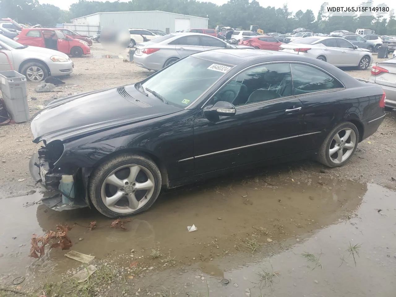 WDBTJ65J15F149180 2005 Mercedes-Benz Clk 320C