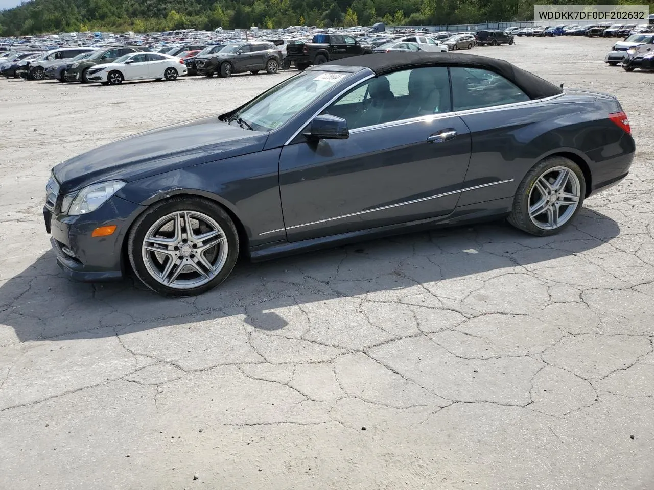 2013 Mercedes-Benz E 550 VIN: WDDKK7DF0DF202632 Lot: 71228844