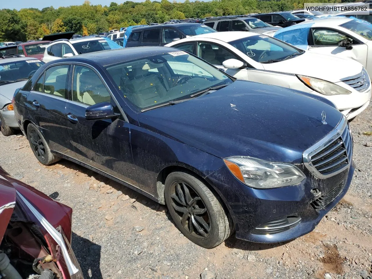 WDDHF9HB1EA856782 2014 Mercedes-Benz E 250 Bluetec