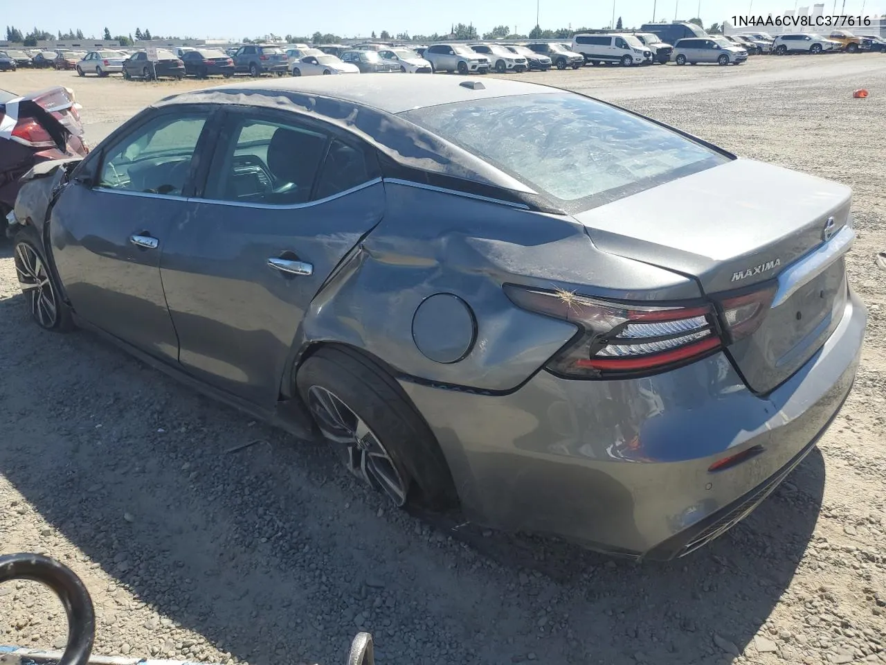 2020 Nissan Maxima Sv VIN: 1N4AA6CV8LC377616 Lot: 60534594