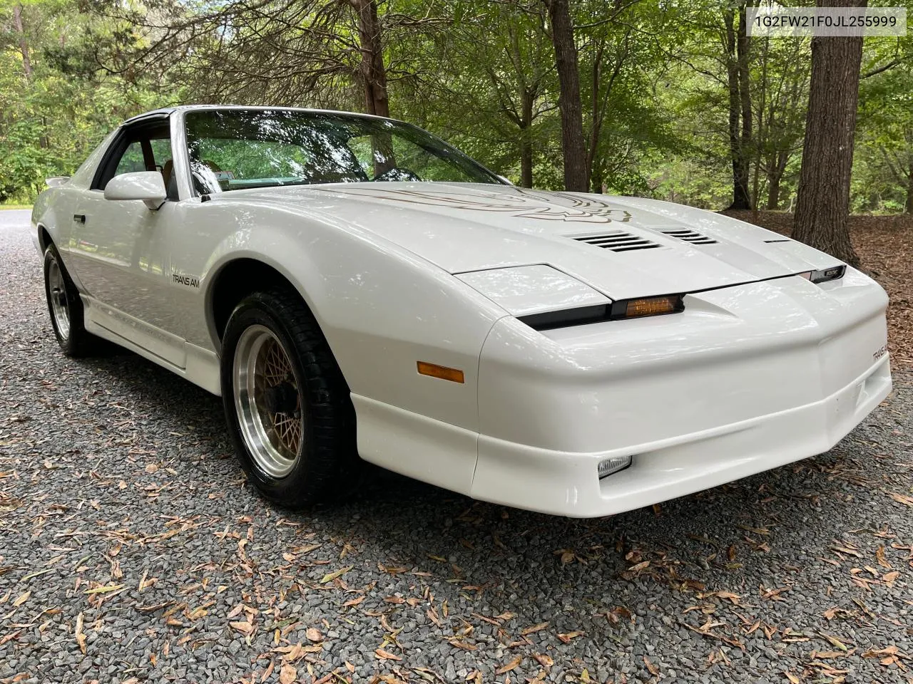 1988 Pontiac Firebird Trans Am VIN: 1G2FW21F0JL255999 Lot: 71676324