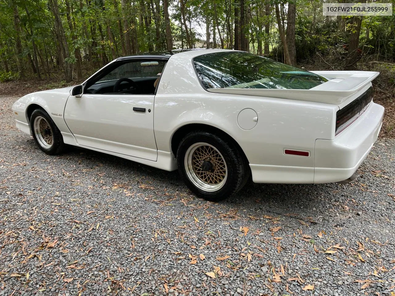 1988 Pontiac Firebird Trans Am VIN: 1G2FW21F0JL255999 Lot: 71676324