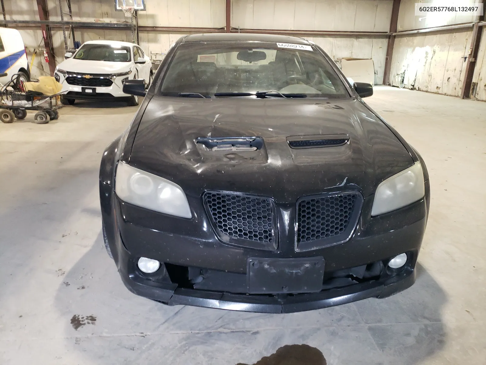 2008 Pontiac G8 VIN: 6G2ER57768L132497 Lot: 66808214