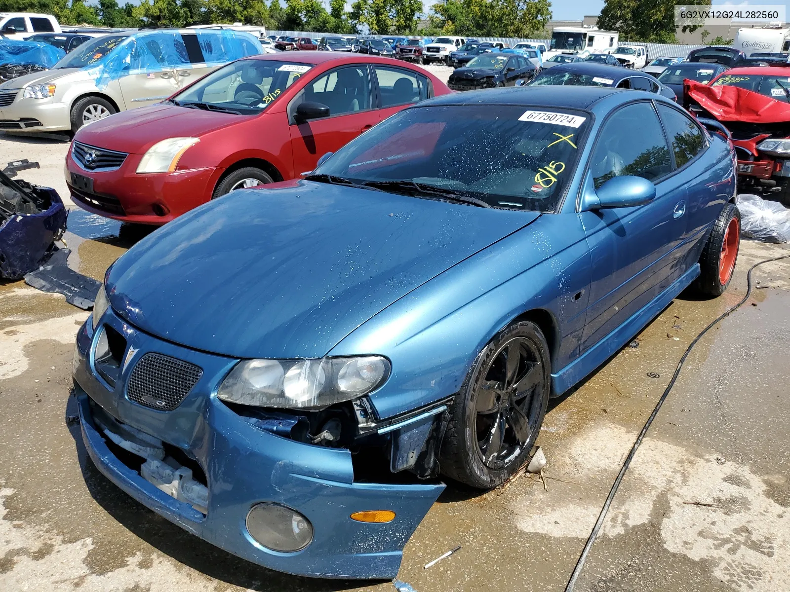 2004 Pontiac Gto VIN: 6G2VX12G24L282560 Lot: 67750724