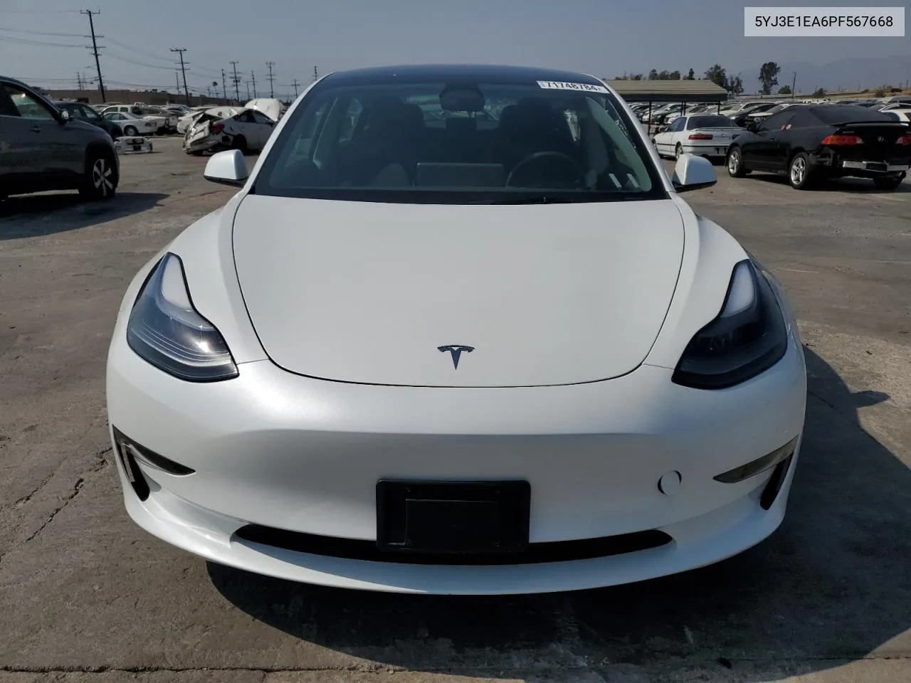 2023 Tesla Model 3 VIN: 5YJ3E1EA6PF567668 Lot: 71748784