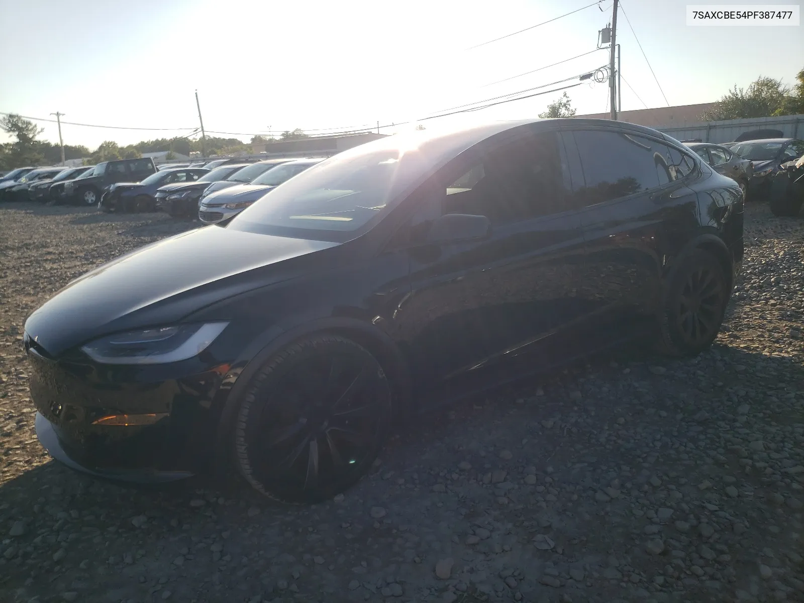 2023 Tesla Model X VIN: 7SAXCBE54PF387477 Lot: 67920784