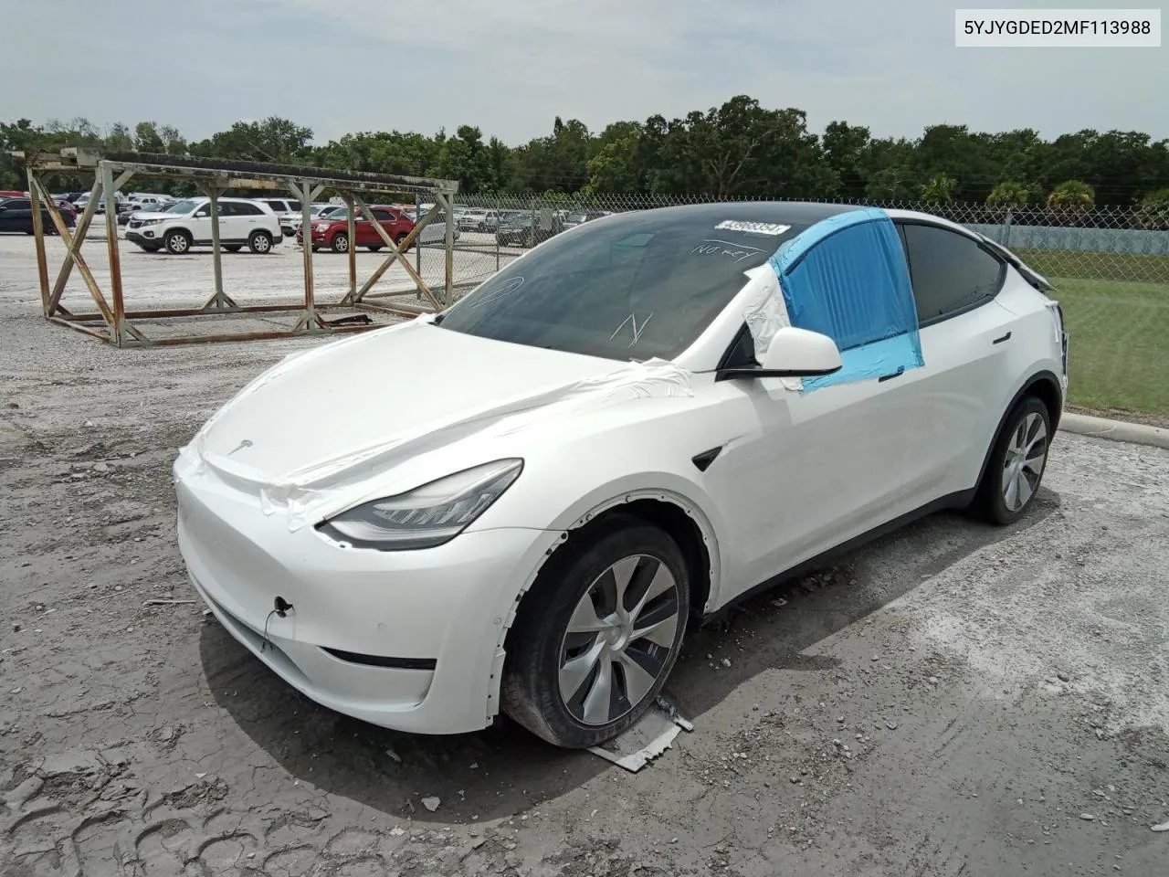 2021 Tesla Model Y VIN: 5YJYGDED2MF113988 Lot: 69176324