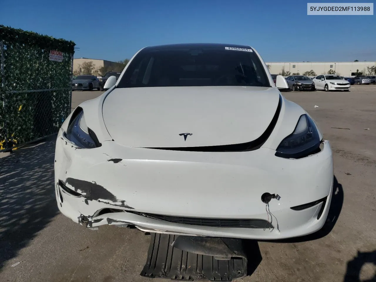 2021 Tesla Model Y VIN: 5YJYGDED2MF113988 Lot: 69176324