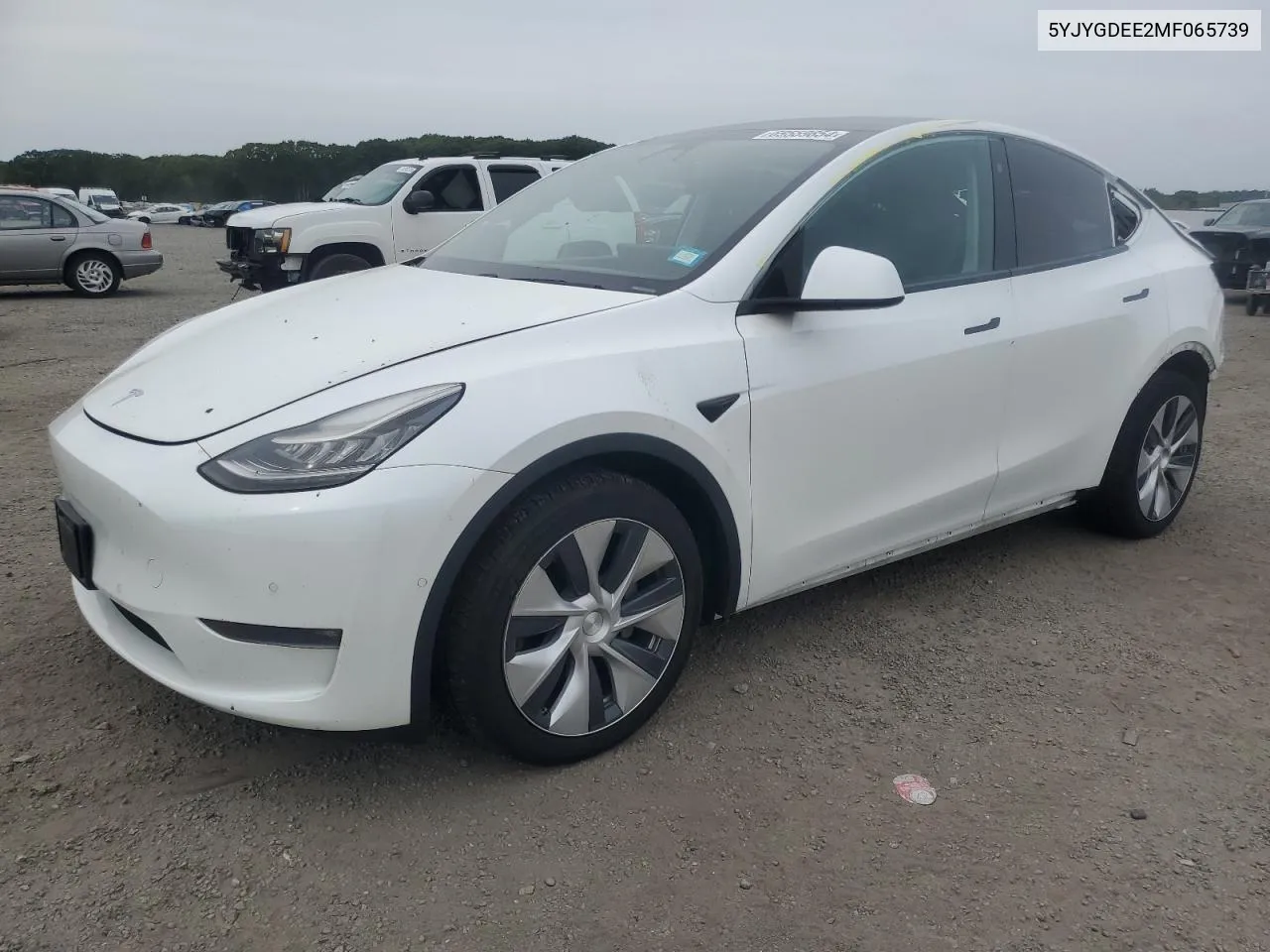 2021 Tesla Model Y VIN: 5YJYGDEE2MF065739 Lot: 69559854