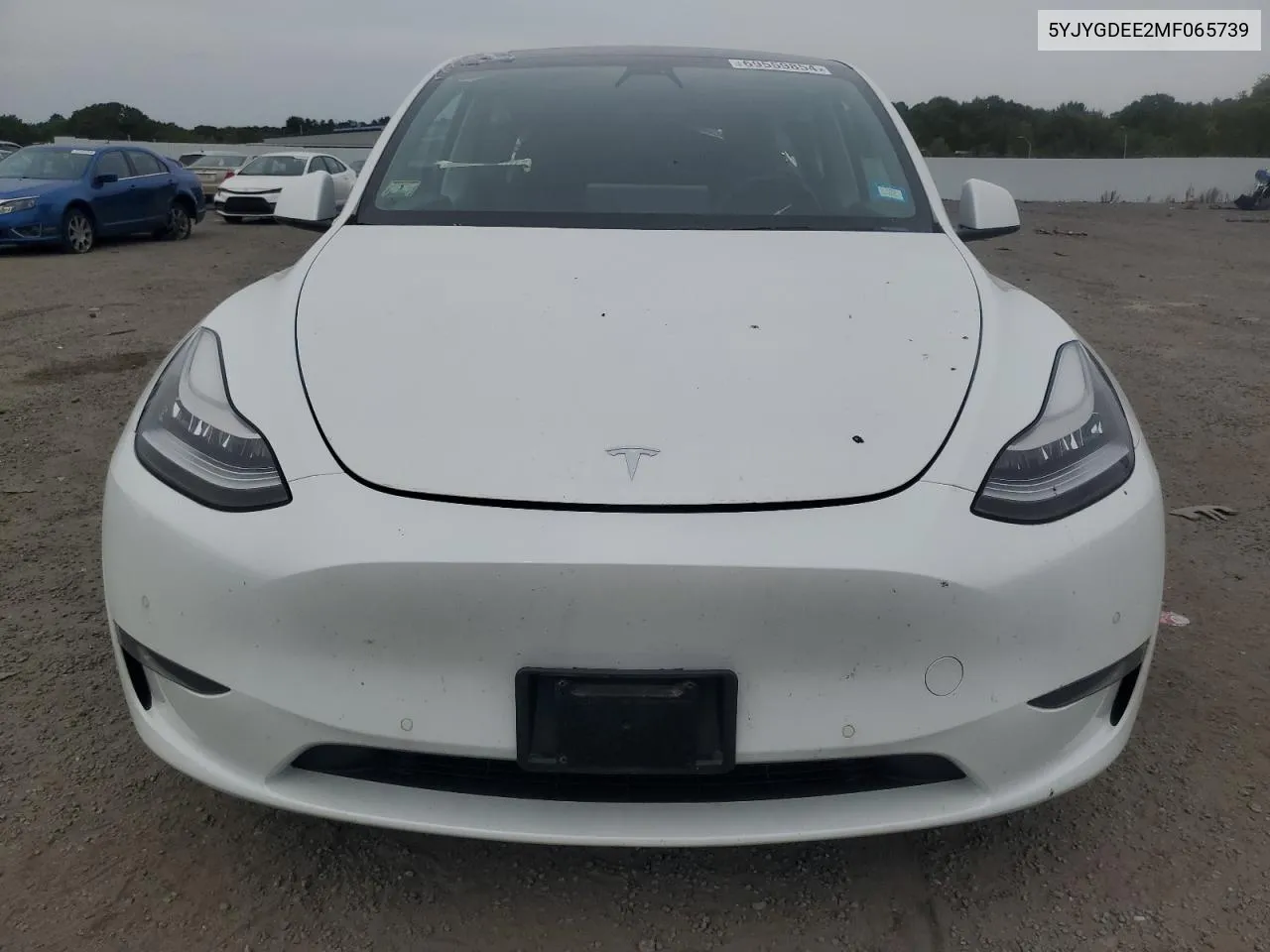 5YJYGDEE2MF065739 2021 Tesla Model Y