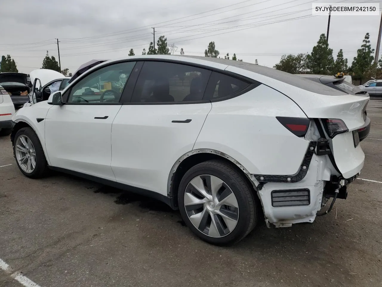 2021 Tesla Model Y VIN: 5YJYGDEE8MF242150 Lot: 71605214